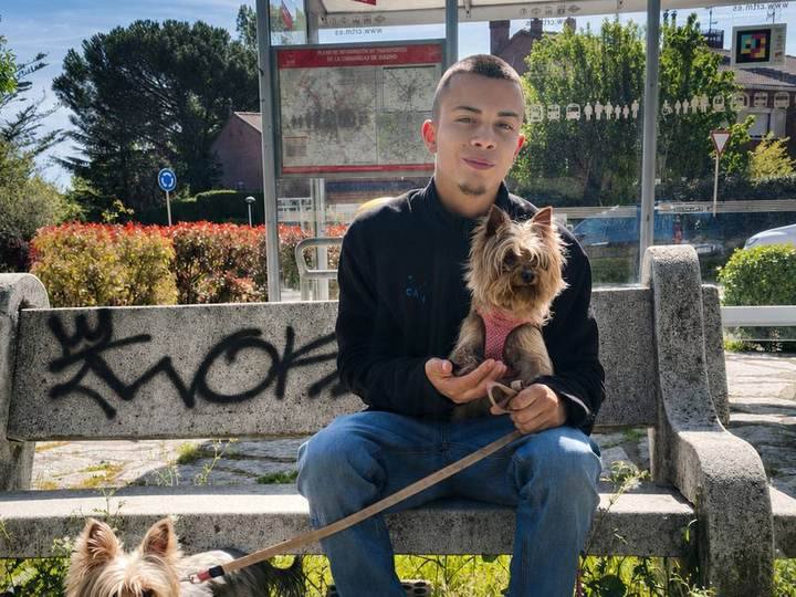 Victor Sánchez Casas assis sur un banc avec deux yorkshires