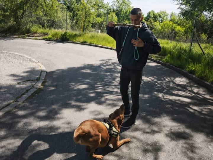 Victor Sánchez Casas pendant une séance d'éducation canine